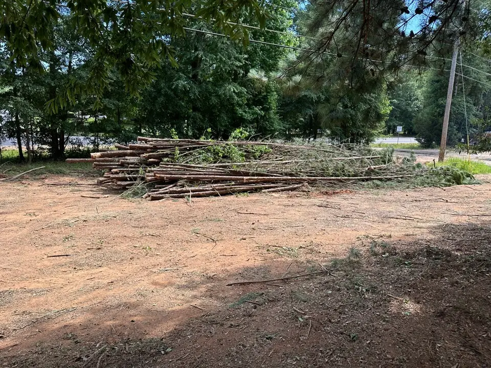 A long pile of cut pine trunks and limbs stacked on bare red-clay ground near a road